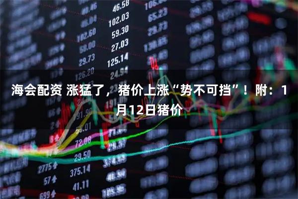 海会配资 涨猛了，猪价上涨“势不可挡”！附：1月12日猪价