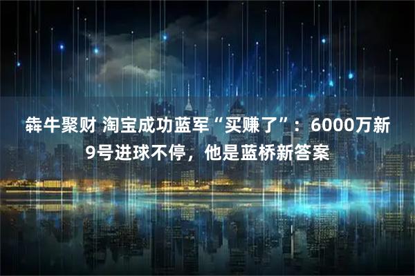 犇牛聚财 淘宝成功蓝军“买赚了”：6000万新9号进球不停，他是蓝桥新答案